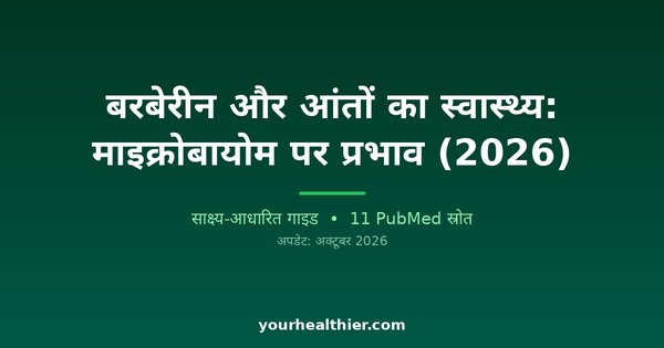 बरबेरीन और आंतों का स्वास्थ्य: माइक्रोबायोम पर प्रभाव (2026)