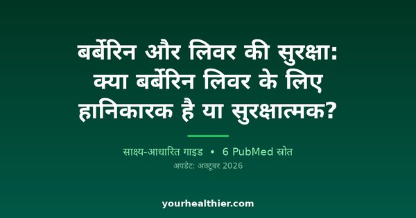 बर्बेरिन और लिवर की सुरक्षा: क्या बर्बेरिन लिवर के लिए हानिकारक है या सुरक्षात्मक?