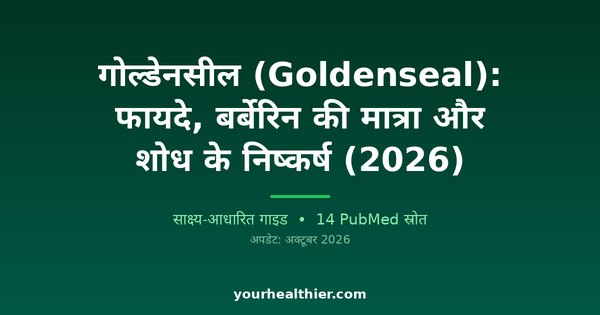 गोल्डेनसील (Goldenseal): फायदे, बर्बेरिन की मात्रा और शोध के निष्कर्ष (2026)