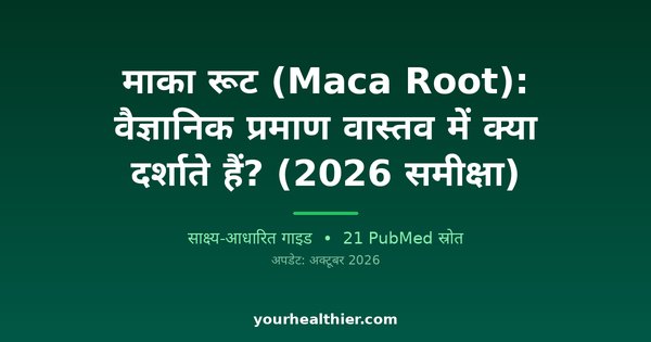 माका रूट (Maca Root): वैज्ञानिक प्रमाण वास्तव में क्या दर्शाते हैं? (2026 समीक्षा)