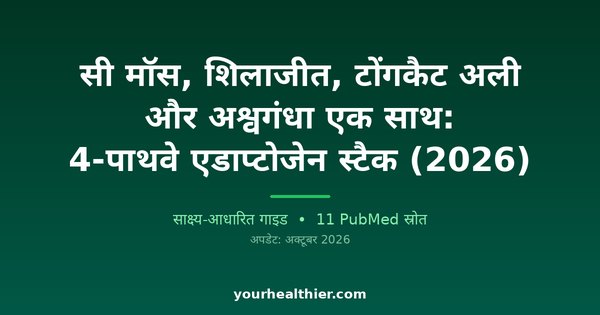 सी मॉस, शिलाजीत, टोंगकैट अली और अश्वगंधा एक साथ: 4-पाथवे एडाप्टोजेन स्टैक (2026)