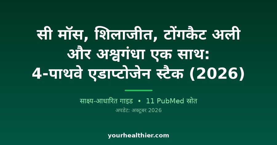सी मॉस, शिलाजीत, टोंगकैट अली और अश्वगंधा एक साथ: 4-पाथवे एडाप्टोजेन स्टैक (2026)