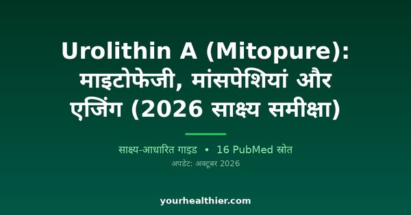 Urolithin A (Mitopure): माइटोफेजी, मांसपेशियां और एजिंग (2026 साक्ष्य समीक्षा)