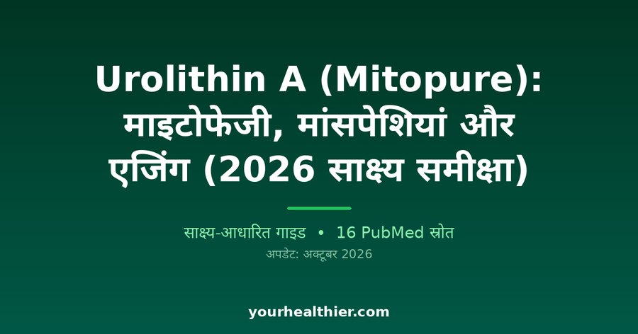 Urolithin A (Mitopure): माइटोफेजी, मांसपेशियां और एजिंग (2026 साक्ष्य समीक्षा)
